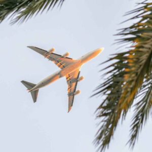 An airplane flying above palm trees.