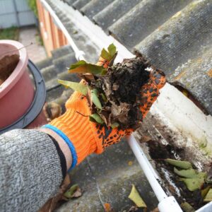 An image of a person cleaning out their gutters.