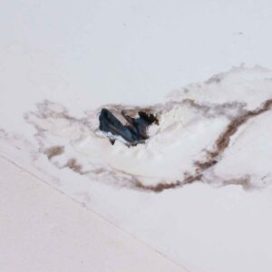 An image of a spot caused by hidden water leaks.