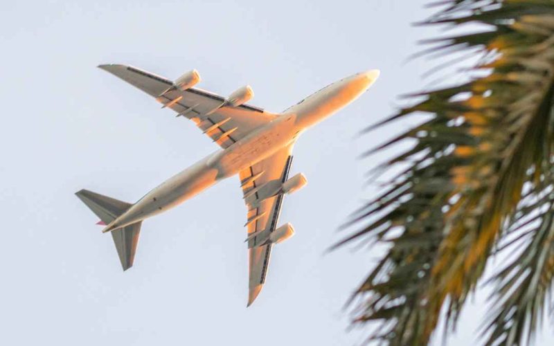 An airplane flying above palm trees.