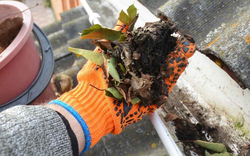 An image of a person cleaning out their gutters.